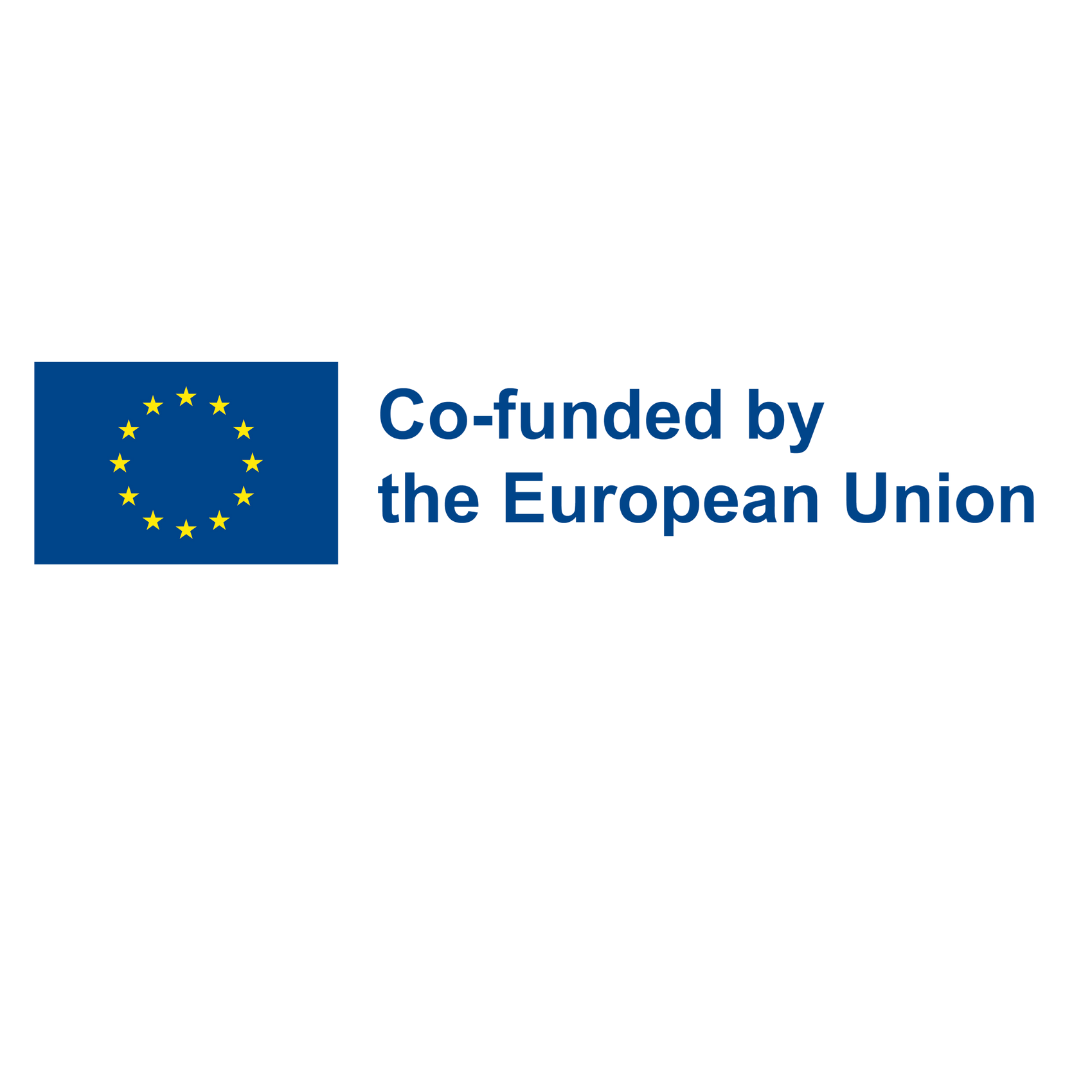 Co-funded by the European Union
